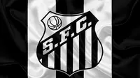 Logo Santos FC. (Wallpaper Flare)