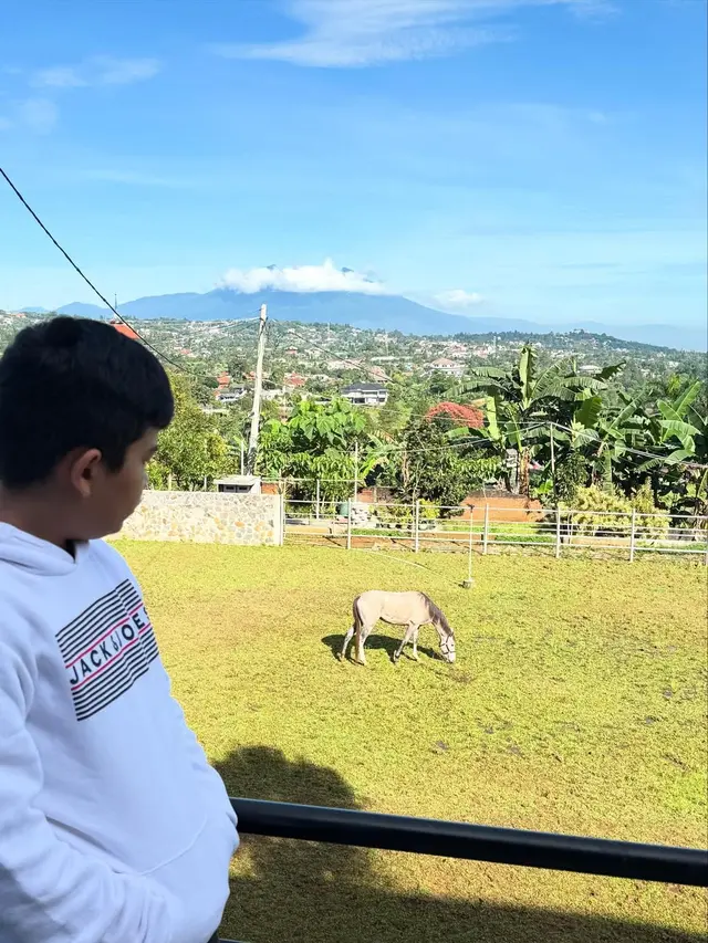 Suasana Rumah Baru Shireen Sungkar di Puncak