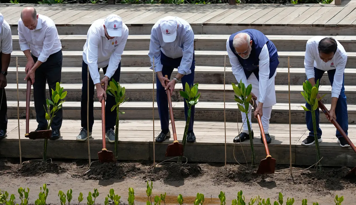 (kiri ke kanan) Kanselir Jerman Olaf Scholz, Perdana Menteri Australia Anthony Albanese, Presiden AS Joe Biden, Perdana Menteri India Narendra Modi, dan Presiden Indonesia Joko Widodo menyiapkan lahan saat acara penanaman mangrove di Taman Hutan Raya Ngurah Rai di sela-sela acara Pertemuan KTT G20, Denpasar, Bali, Indonesia, Rabu (16/11/2022). (AP Photo/Alex Brandon, Pool)