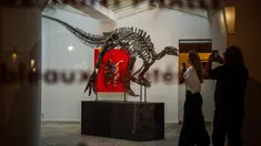 Pengunjung melihat kerangka Barry, spesimen besar Camptosaurus dari akhir periode Jurassic, yang dipajang sebelum dilelang di galeri Georges-Philippe & Nathalie Vallois, Paris, Senin (18/9/2023). (Dimitar DILKOFF / AFP)
