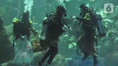 Penyelam mengenakan baju batik saat pertunjukan bawah air dalam rangka menyambut Hari Batik Nasional di Sea World Ancol, Jakarta Utara, Rabu (28/9/2022). Sea World Ancol menggelar pertunjukkan bertajuk "Pekan Kolaborasi Budaya dan Sejarah" untuk menyambut peringatan Hari Batik Nasional Tahun 2022 yang akan berlangsung pada tanggal 1-9 Oktober 2022 dengan menampilkan fashion show, tarian tradisional serta atraksi bawah air. (merdeka.com/Iqbal S. Nugroho)