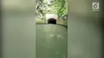 Kejadian ganjil dialami Debi Morales dan teman-temannya saat berwisata di Isabela River Canals, Puerto Rico. Debi dkk melihat sosok misterius menyelam di dalam air.