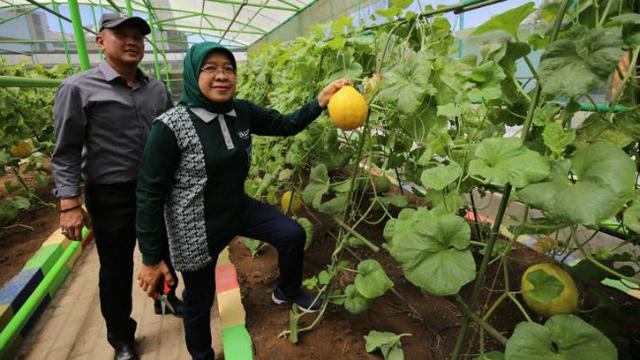 Yuk Jelajahi 5 Wisata Edukasi Di Surabaya Surabaya Liputan6 Com