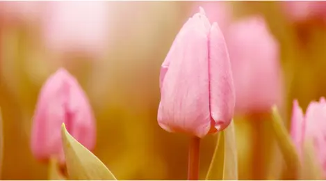 10 Tanda Kematian Akan Menjemput Beauty Fimela Com