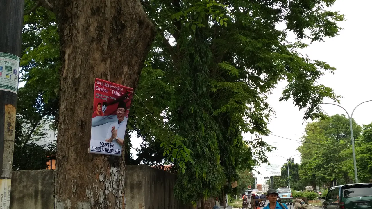 Pilkada Belum Dimulai, Pohon-Pohon di Jalan Sudah Jadi Korban
