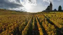 Pemandangan udara ini gereja Saint-Jacques-le-Majeur yang dikelilingi kebun anggur Alsace saat musim gugur di Hunawihr, Prancis timur, pada 26 Oktober 2021. Saat memasuki pertengahan bulan Oktober, daun-daun akan berubah warna menyajikan pemandangan musim gugur yang memesona. (SEBASTIEN BOZON / AFP)