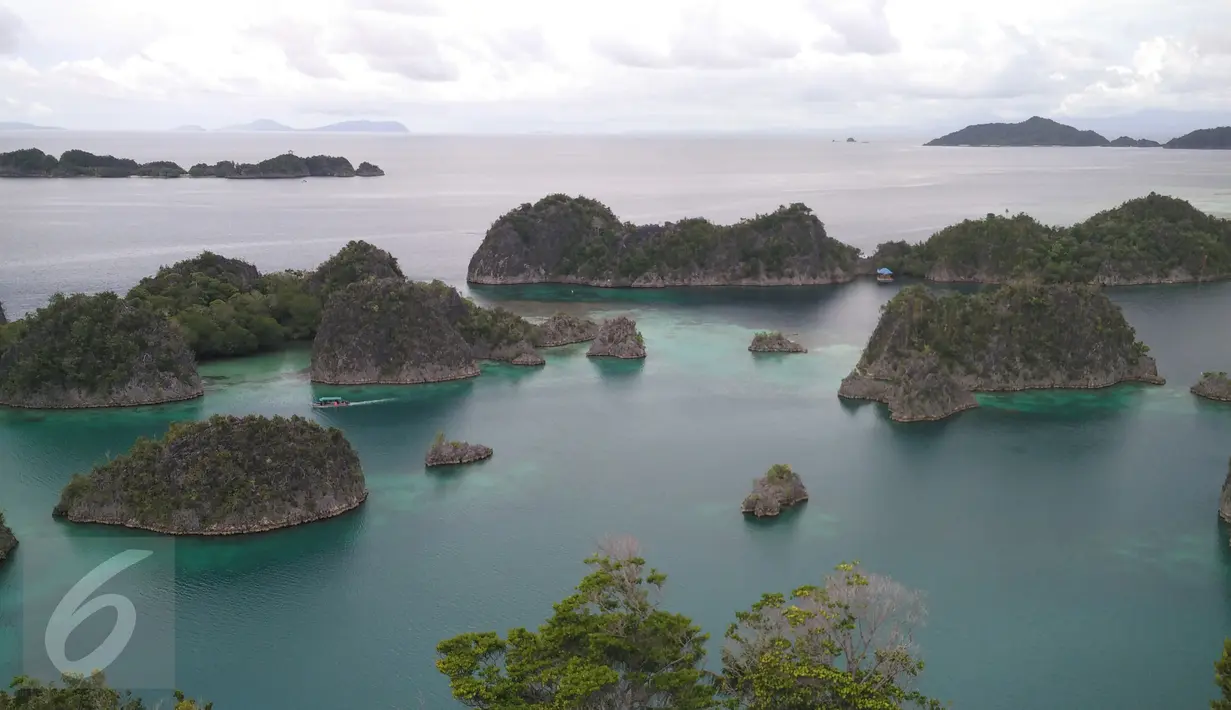 Suasana pemandangan Pulau Piaynemo di Kabupaten Raja Ampat, Papua Barat. Pulau ini menjadi salah satu ikon Raja Ampat dan tempat favorit para turis untuk berfoto-foto. (Liputan6.com/Zulfi Suhendra)