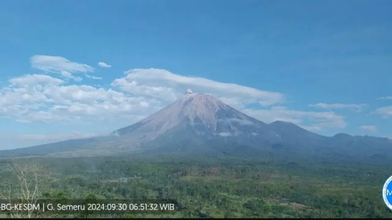 Gunung Semeru alami erupsi dengan tinggi letusan hampir 500 meter (Istimewa)