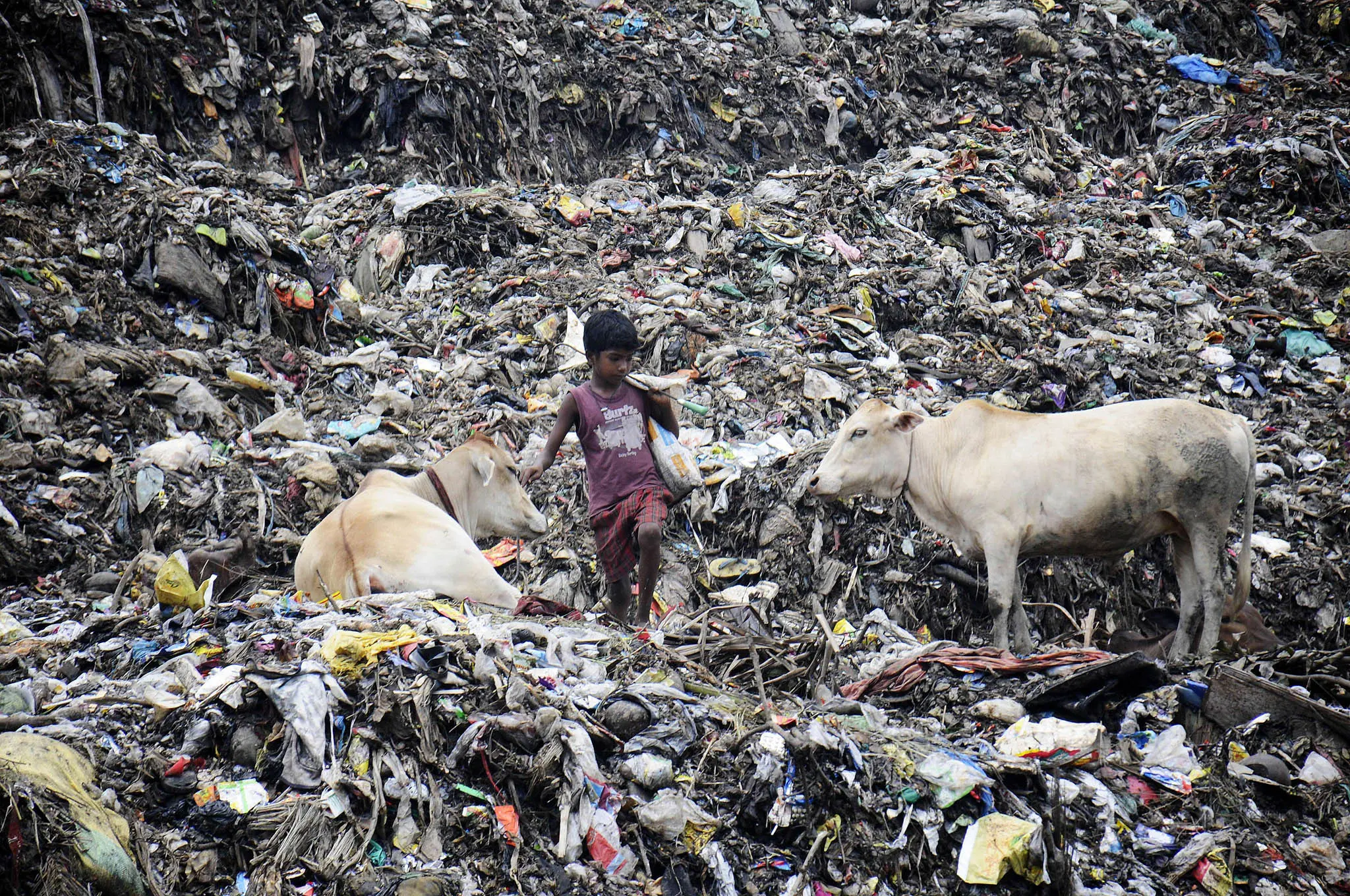 Tumpukan sampah di kota Mumbai yang tak biasa ini diibaratkan sebagai gunung sampah (AFP) 
