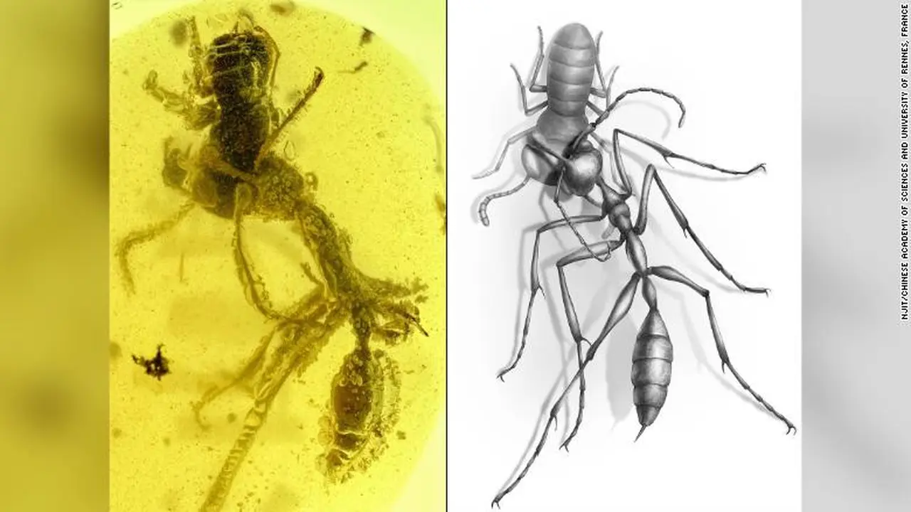 Hell Ant (NJIT/Chinese Academy of Science of Rennes, France)