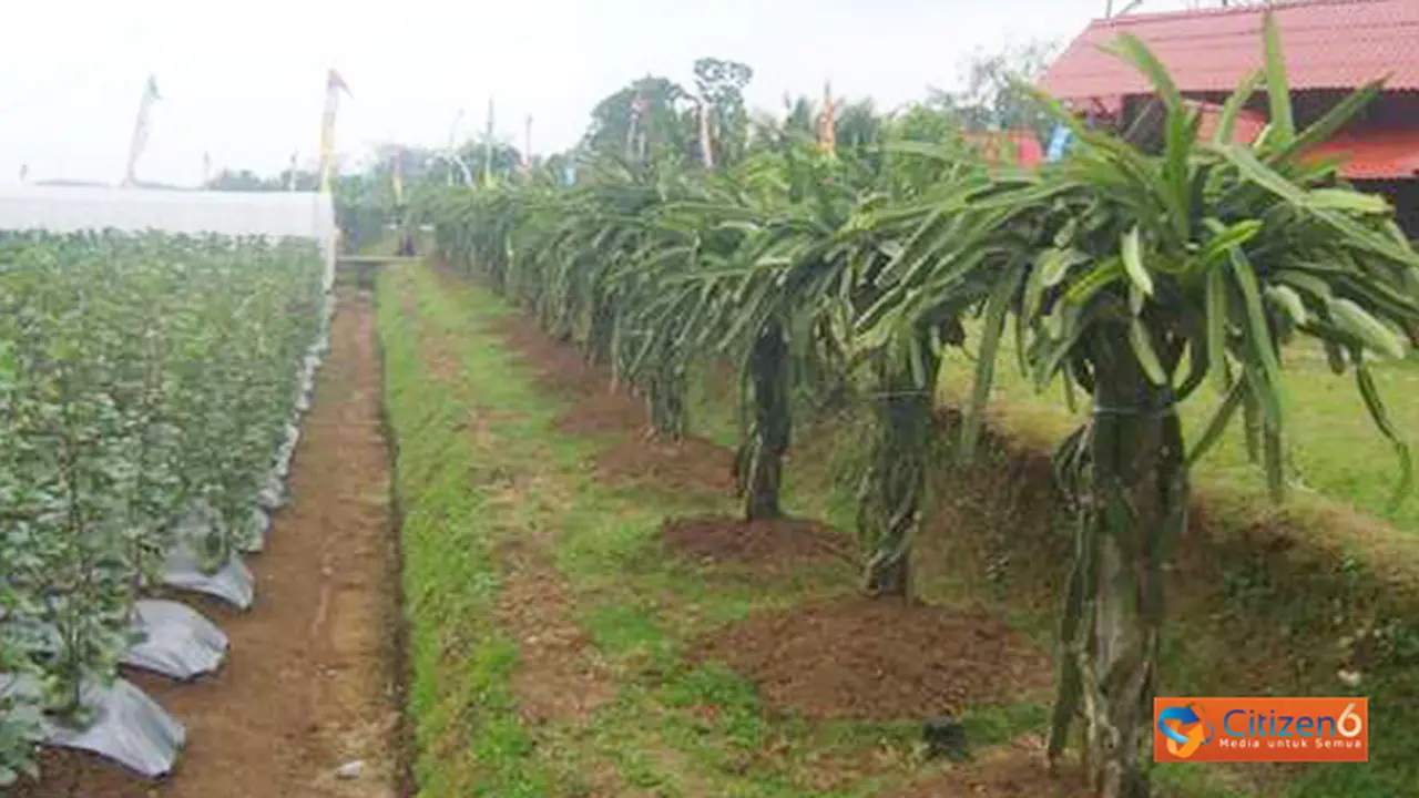 131210bagrowisata.jpg