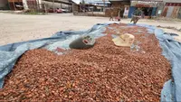 BPDLH Bantu Pembiayaan Petani Lewat Skema Dana Bergulir