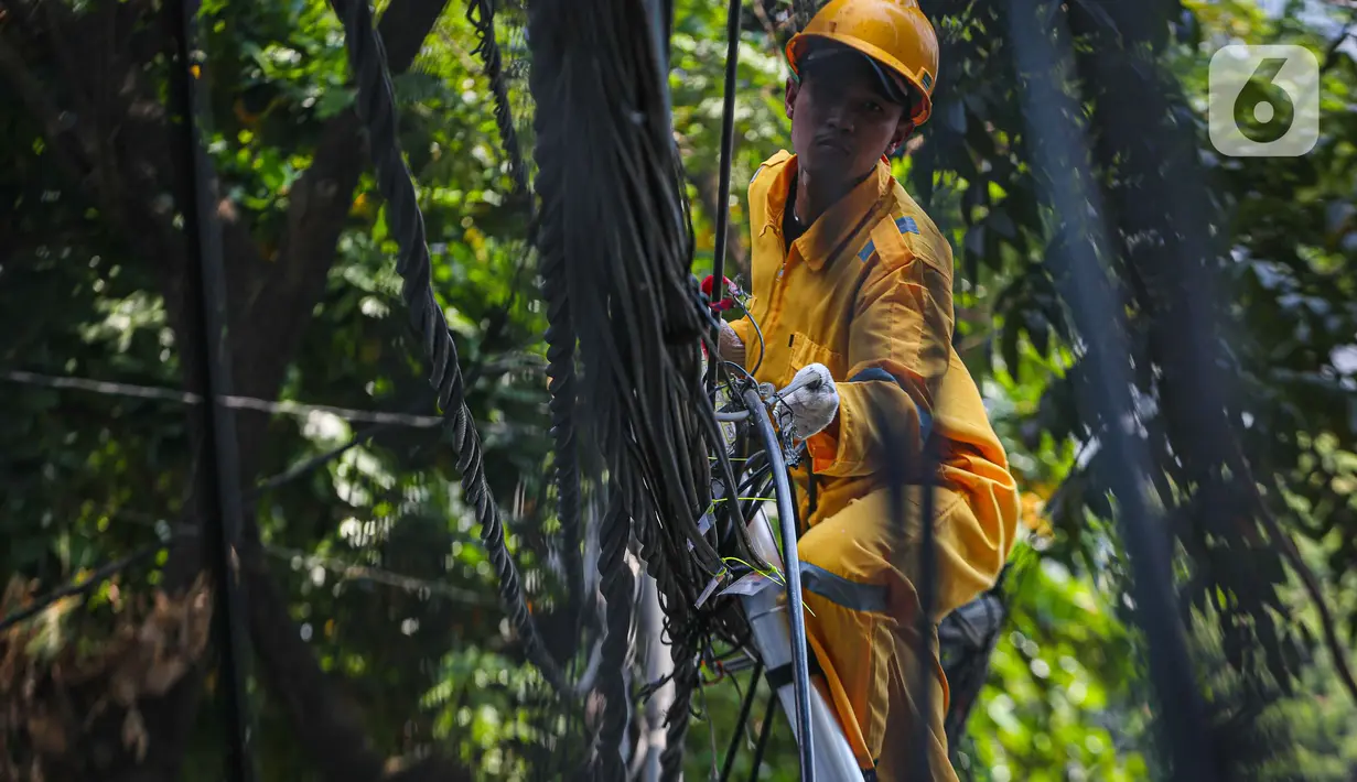 Adanya korban akibat kabel semrawut dan melintang di jalanan Jakarta menjadi perhatian publik, termasuk sorotan kalangan DPRD DKI Jakarta. (Liputan6.com/Faizal Fanani)