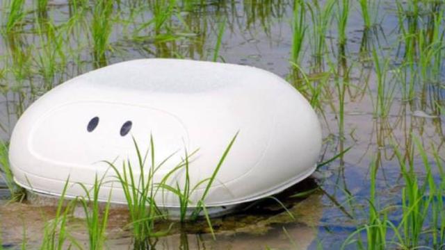Robot bebek. Dok: engadget.com
