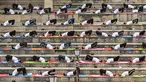 Personel Pasukan Keamanan Perbatasan (BSF) mengambil bagian dalam sesi yoga pada Hari Yoga Internasional di perbatasan Attari-Wagah antara India dan Pakistan di pinggiran kota Amritsar pada tanggal 21 Juni 2025. (Narinder NANU/AFP)