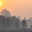 Kabut Asap Pekat, Penerbangan Sampit Lumpuh Total
