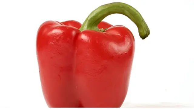 Foto : copyright veggingfortwo.wordpress.com