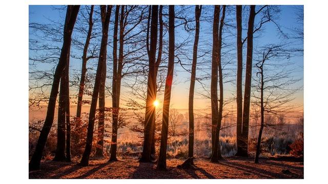 Ilustrasi pemandangan alam