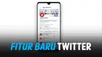 THUMBNAIL TWITTER