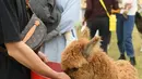 Sejumlah orang menikmati waktu luang mereka di "Go Farm" di Desa Gucheng, Kota Huzhou, Provinsi Zhejiang, China pada 17 November 2020. "Go Farm", sebuah destinasi liburan yang memadukan antara perkemahan dengan tur bertema hewan peliharaan di desa kuno Gucheng. (Xinhua/Weng Xinyang)