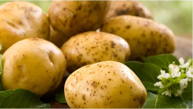 Courtesy ShutterStock.com