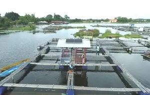 PLN Indonesia Power Kembangkan Empat Proyek PLTS Raksasa