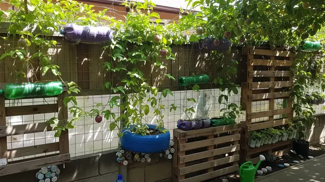 Inspirasi Kebun Markisa Gantung untuk Pagar Rumah/Gemini AI