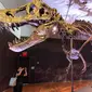 Kerangka Stan, salah satu fosil Tyrannosaurus rex atau T-Rex terbesar dan terlengkap yang ditemukan, dipajang di rumah lelang Christie di New York, 15 September 2020. Kerangka berusia sekitar 67 juta tahun tersebut diperkirakan akan terjual dengan harga USD 6 juta-USD 8 juta, atau setara Rp88 miliar