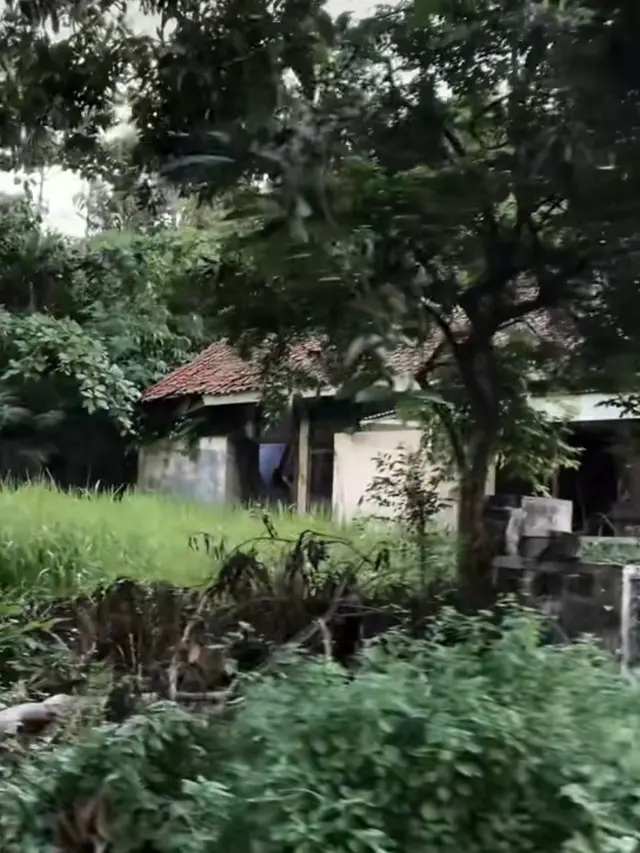 Perumahan Dinas Krakatau Steel Terbengkalai