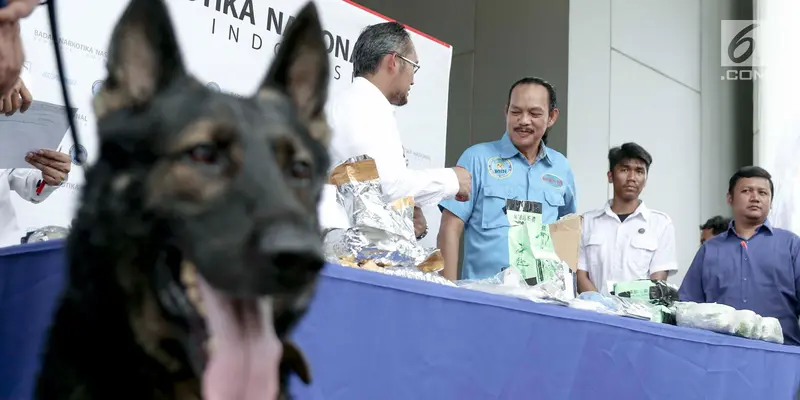 Deputi Pemberantasan BNN Arman Depari saat rilis penyelundupan narkoba jaringan Malaysia di Gedung BNN, Jakarta, Selasa (16/10). BNN berhasil menggagalkan penyelundupan 14,6 kg sabu dan 63.573 ekstasi dari 4 kasus berbeda. (Liputan6.com/Immanuel Antonius)