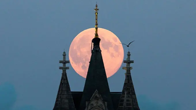 Foto: copyright Dailymail.co.uk