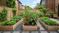 8 Ide Urban Farming Buah dan Sayur di Halaman Rumah Kecil: Panen Segar Setiap Hari