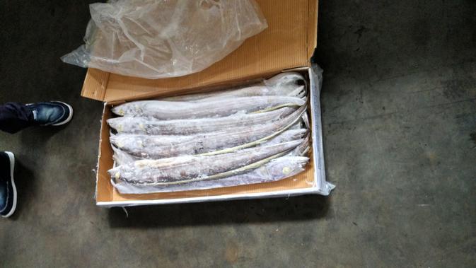 Ikan layur merupakan salah satu komoditas perikanan laut Indonesia yang diminati pasar China (Khairisa Ferida/Liputan6.com)