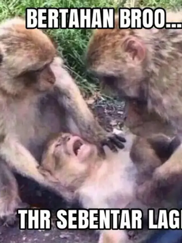 12 Meme Lucu THR, Hiburan Wajib Jelang Lebaran