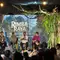 Rano Karno Ungkap Asal-usul Cerita Serial 'Rimba Raya' yang Tayang di Vidio