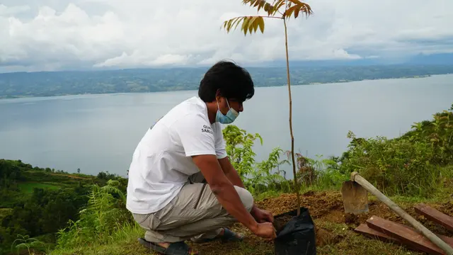 Tanam Pohon