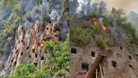 Karhutla Toraja Utara Hanguskan Pemakaman Tradisional, Diduga Sengaja Dibakar