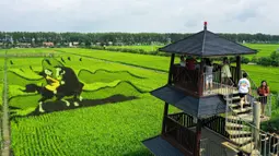 Para turis mengunjungi sawah dengan gambar yang dibuat dari berbagai varietas padi di Shenyang, Provinsi Liaoning, China, 17 Agustus 2021. (STR/AFP)