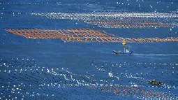 Foto yang diabadikan pada 10 November 2020 ini menunjukkan sebuah perahu nelayan berlayar di kawasan budi daya akuakultur di Wilayah Lianjiang, Provinsi Fujian, China tenggara. (Xinhua/Wei Peiquan)