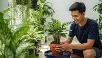 Teknik Penyiraman dari Bawah untuk Tanaman Hias dalam Pot, Jaga Tetap Subur