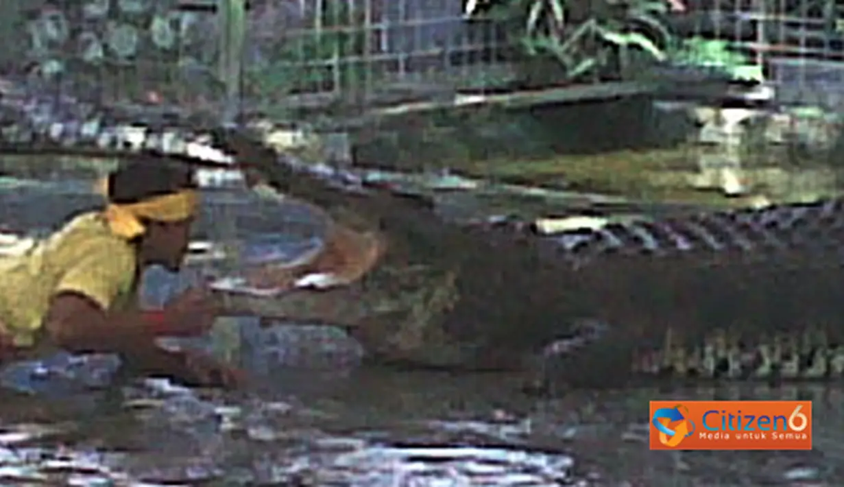 Citizen6, Badung: Atraksi pawang di Taman Buaya, Kabupaten Bandung, Bali saat menghibur wisatawan asing dan kunjungan murid-murid SD Denpasar. (Pengirim: Munanjar)