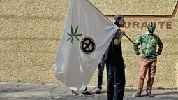 Seorang aktivis memakai topeng dan kostum bermotif ganja saat mengelar aksi di depan Komisi Federal COFEPRIS di Mexico City (20/11). Mahkamah Agung Meksiko memberikan izin untuk menanam dan merokok ganja untuk konsumsi pribadi. (AFP PHOTO/Yuri Cortez)