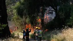 Kebakaran tersebut diperparah oleh cuaca panas dan angin kencang, sehingga mempercepat penyebaran api. Tampak dalam foto, petugas pemadam kebakaran Chili bekerja saat kebakaran hutan di Concepcion, Chile pada 18 Januari 2026. (Raul BRAVO/AFP)
