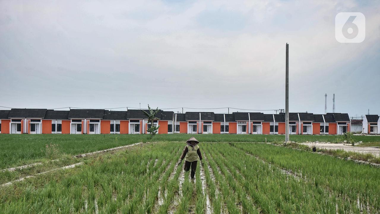 Penyaluran KPR FLPP 2025 Tembus Rp 27,7 Triliun, Tertinggi Sepanjang Sejarah