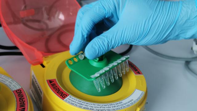 100 000 Paket Rt Pcr Test Kit Covid 19 Lokal Siap Masuk Fase Produksi Massal Tekno Liputan6 Com