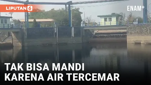 VIDEO: Air Bendungan di Karawang Tercemar Limbah Pabrik dari Subang dan Purwakarta