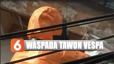 Pemilik rumah mengaku khawatir dengan sengatan tawon yang telah bersarang sekitar 2 minggu di rumahnya ini.
