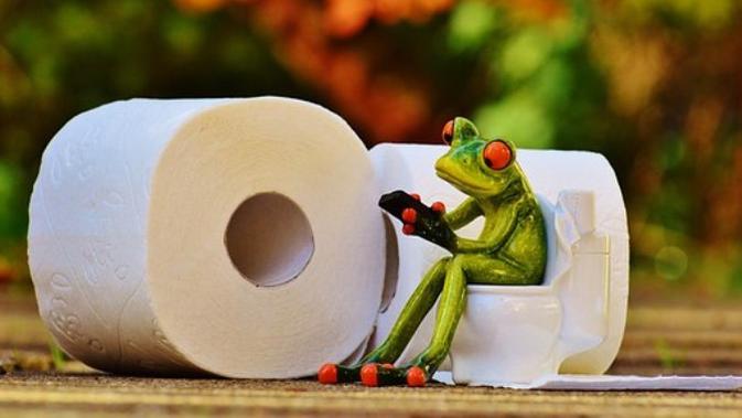 Ilustrasi Gunakan Gadget saat di Toilet (Foto: Pixabay)