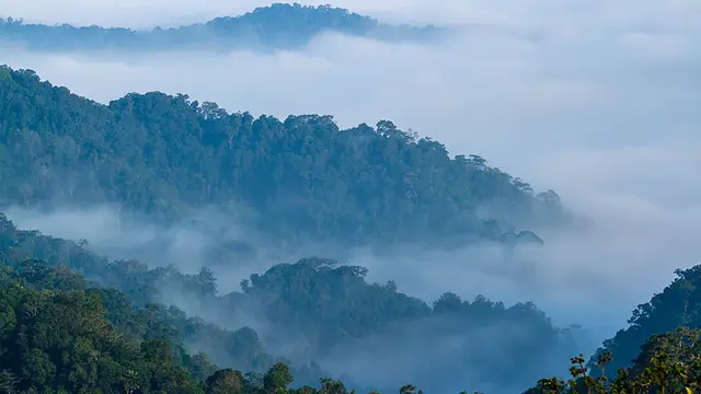 Taman Nasional Hutan Kaeng Krachan