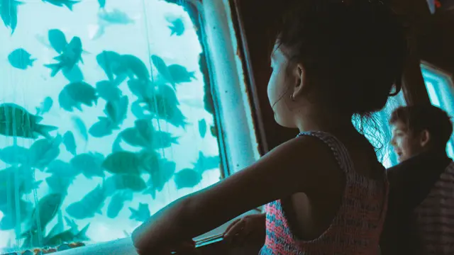 Aquarium Date sebagai Pilihan Destinasi Penuh Edukasi Saat Liburan untuk Anak